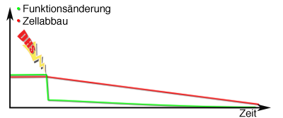 funktionsminderung zellabbau zellminus
