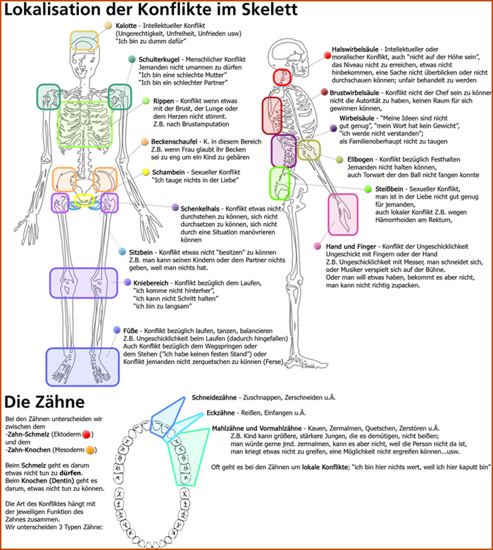 skelett selbstwerteinbruch konflikt knie schulter rücken wirbel schädel hand finger ellenbogen becken steißbein zähne dentin schmelz beißkonflikt