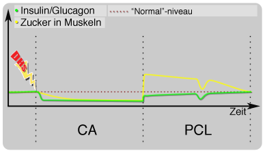 zucker insulin glucagon